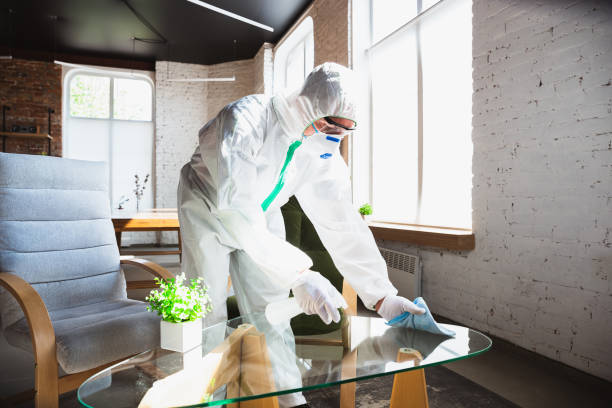 Best Comprehensive Air Testing for Mold Contaminants  in Briggs, OK